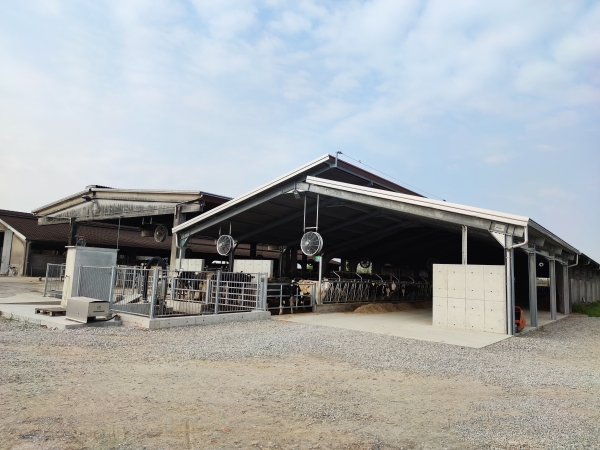 EDIFICIO AGRICOLO - VILLACHIARA