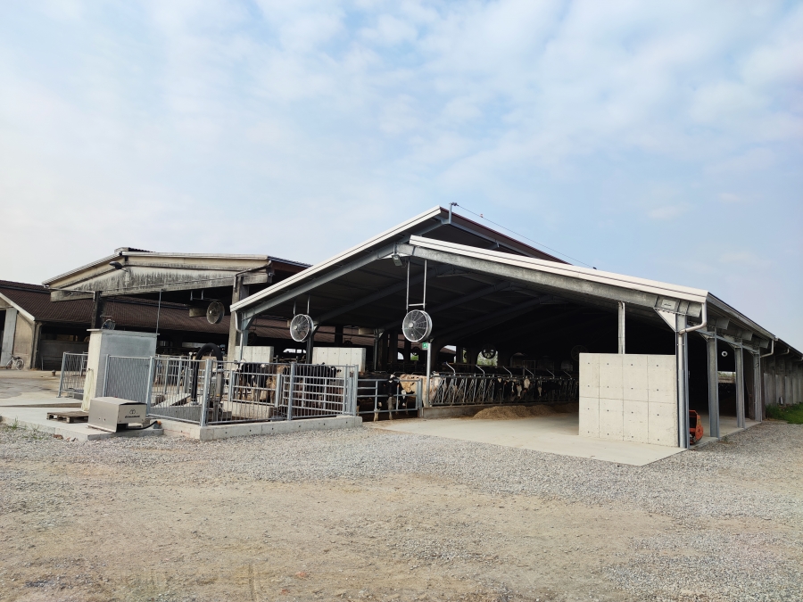 EDIFICIO AGRICOLO - VILLACHIARA